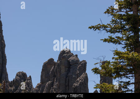 Drei unbekannte Männer auf der Oberseite der Große granitformationen wie die Kathedrale bekannt Türme auf einem klaren sonnigen Tag im Custer State Park, South Dakot Stockfoto