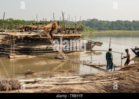 Reisstroh wird in Bangladesch geerntet und auf Booten verladen Stockfoto