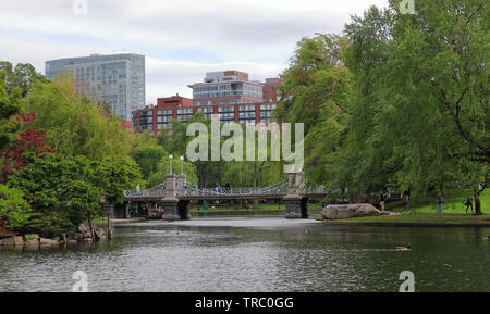 Boston, Massachusetts - 23. Mai 2019: Herrliche Aussicht auf den Teich an die Boston Public Garden Stockfoto