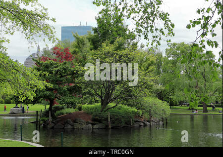 Boston, Massachusetts - 23. Mai 2019: Herrliche Aussicht auf den Teich an die Boston Public Garden Stockfoto