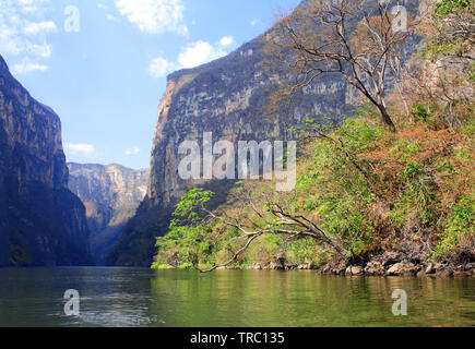 Schönen Felsen und Grijalva Flusses (Rio Grijalva) in Sumidero Canyon (Cañon del Sumidero) in der Nähe von Tuxtla Gutierrez, Chiapas, Mexiko Stockfoto