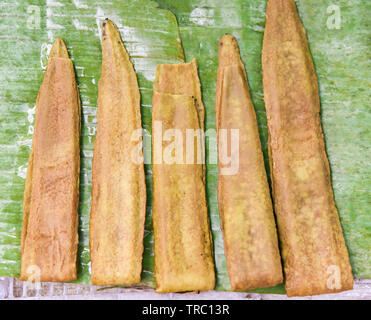 Gebrochenen Knochen Baum, der Frucht der Damocles Baum, indische Trompete Blume/Oroxylum indicum auf dem Markt selektiven Fokus Stockfoto