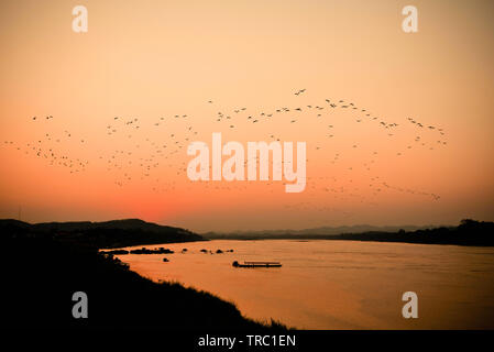 Silhouette Sonnenuntergang Fluss Abend mit Flock fliegende Vögel über dem Orange Sky/Mekong Sonnenuntergang Asien Stockfoto