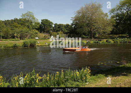 Hortus botanicus Leiden. älteste botanische Garten in den Niederlanden. zurückgehend bis 1590. Einschließlich der Wintergarten. Clusius Garten. Japanischen Garten. Stockfoto