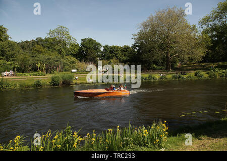 Hortus botanicus Leiden. älteste botanische Garten in den Niederlanden. zurückgehend bis 1590. Einschließlich der Wintergarten. Clusius Garten. Japanischen Garten. Stockfoto