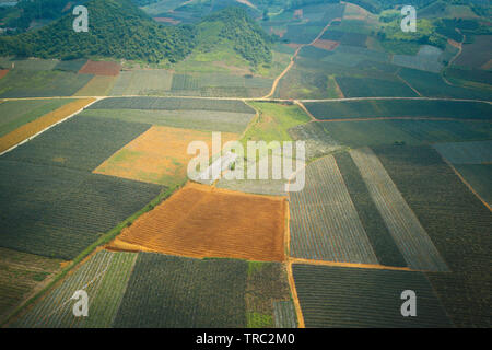 Landschaft von Ananas Plantagen in Tam Diep, Ninh Binh, Vietnam Stockfoto