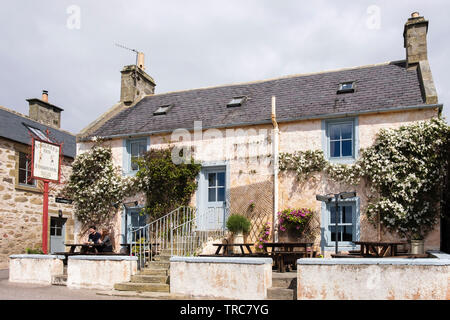 Die alte Kimberley Inn real ale Village Pub mit Menschen draußen sitzen im Sommer. Findhorn, Moray, Schottland, Großbritannien, Großbritannien Stockfoto