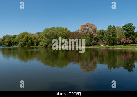 Lietzensee im Bezirk Charlottenburg, Berlin, Deutschland sterben. // Der Lietzensee Seen im Bezirk Charlottenburg, Berlin, Deutschland. // Stockfoto