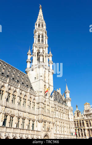 Brüssel Rathaus Brüssel Hôtel de Ville de Bruxelles gotischen Turm oder spire Brussels Grand Place Brüssel Bruxelles Belgien Eu Europa Stockfoto