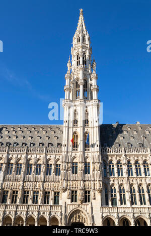 Brüssel Rathaus Brüssel Hôtel de Ville de Bruxelles gotischen Turm oder spire Brussels Grand Place Brüssel Bruxelles Belgien Eu Europa Stockfoto