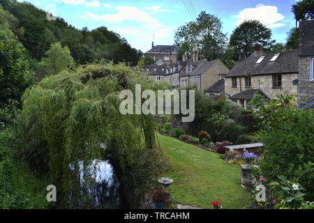 Eine Trauerweide am Ufer des Flusses Frome in Chalford, Gloucestershire. Stockfoto