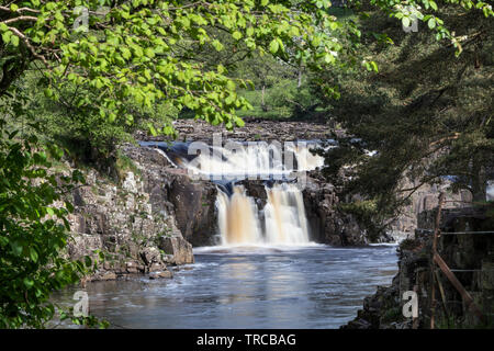 Geringe Kraft aus der Pennine Way, Teesdale, County Durham, UK Stockfoto