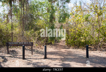 Trail unterzeichnen und Wanderweg durch das Buschland im Casuarina Coastal Reserve im Northern Territory von Australien Stockfoto