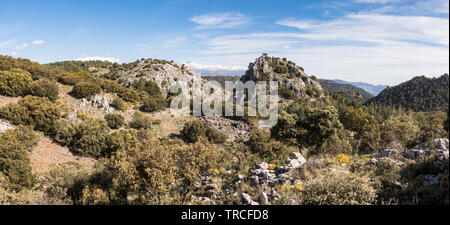 Naturpark Sierra de Huetor Sierra Nevada im Hintergrund, im Frühling, Provinz Granada, Andalusien, Spanien. Stockfoto
