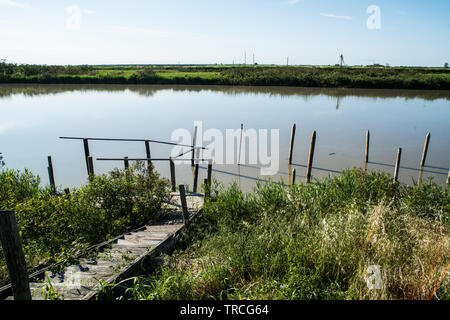 Biosphärenreservat in Delta del Po Park, Porto Tolle, Italien, Juni 2019 Stockfoto