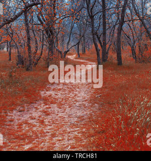 Ungewöhnliche Landschaft. Surreale Landschaft, Red Grass, blauer Himmel, ging Gasse Stockfoto