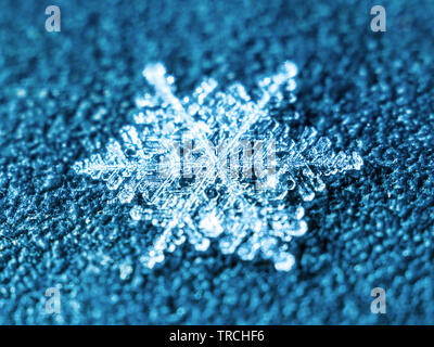 Natürliche Schnee Winter Schneeflocke Ice Crystal Makro Foto hohe Vergrößerung Bokeh Effekt auf blauem Hintergrund