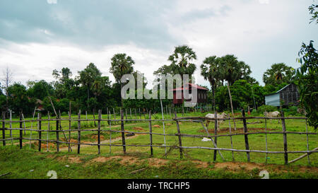 Traditionellen bäuerlichen Häuser und Ackerland mit Geflügel und Zäune, im Dschungel von Kambodscha Landschaft. Stockfoto