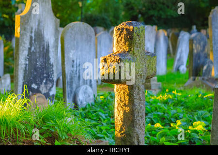 Selektiver Fokus, goldenes Sonnenlicht auf einem Friedhof in Hampstead in London scheint Stockfoto