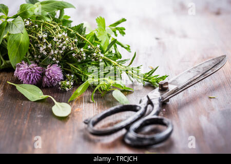 Bündel von verschiedenen Kräuter zum Kochen auf hölzernen Hintergrund Stockfoto