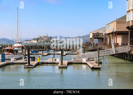 Pier 39 Seelöwen & Alcatraz Island, San Francisco, Kalifornien Stockfoto