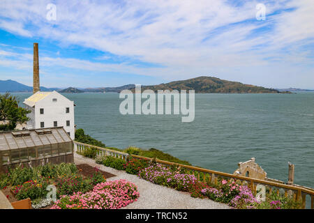 Quartiermeister & Rose Garden im Alcatraz mit Angel Island im Hintergrund und die Bucht von San Francisco, Kalifornien Stockfoto