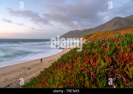 Sonnenuntergang am Strand von Calla lily Valley entlang der Autobahn in Big Sur, Kalifornien. Stockfoto