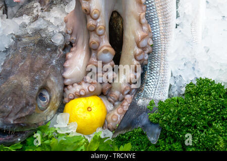 Frischer Fisch und Tintenfisch mit Petersilie und Zitrone auf dem Eis Hintergrund auf dem Markt Stockfoto