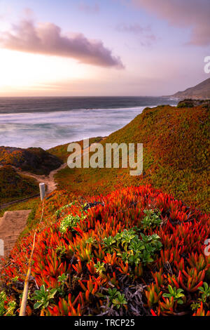 Weg zum Strand und den Pazifischen Ozean entlang der Autobahn ein und Big Sur, Kalifornien. Stockfoto