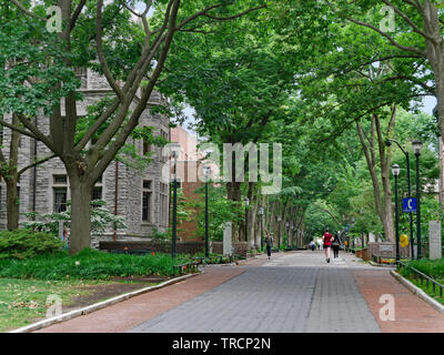 PHILADELPHIA - Mai 2019: Heuschrecke Spaziergang auf dem Campus der Universität von Pennsylvania, eine lange schattig Gehweg für die Heuschrecken, Bäume, die Surround genannt Ich Stockfoto