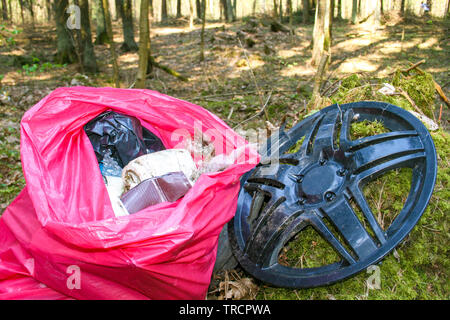 Sammeln oder Kommissionierung, Abfall, Müll und Kunststoff für Reinigung in einem Wald, Verschmutzung Stockfoto