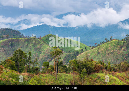 Komplexität der Bergwelt und die Vielfalt der Wald mit schönen niedrigen Wolken auf der Oberseite Stockfoto