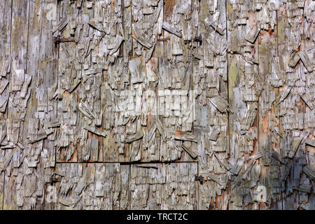Alte verwitterte Holz Schindeln gebrochen Stockfoto