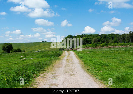 Die Green Street führt durch Fyfield entlang des National Nature Reserve, Wiltshire Stockfoto