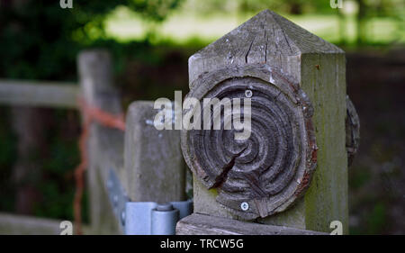 Gate Post mit einer Spirale Carving Stockfoto