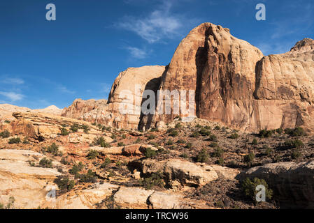 Navajo Dome ist ein großer Monolith aus Sandstein in Capital Reef National Park, Utah gelegen. Stockfoto