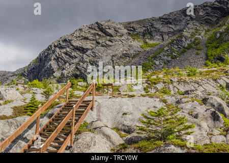 Neue Treppe Climbing Mount Gullsvagfjellet, Vega Island, Norwegen. Stockfoto