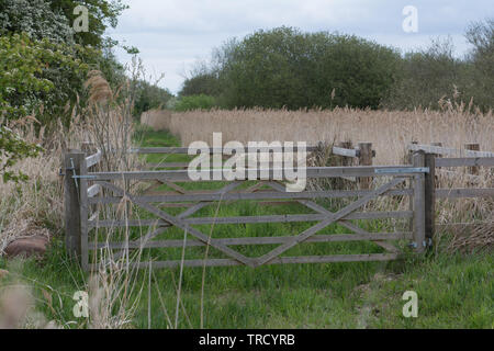 Doppelflügelige gated Zaun mit Metall Schließsystem mit vielen Bauernhof Gates gefunden Stockfoto