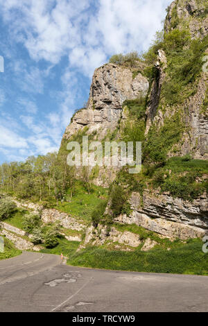 Cheddar Gorge ist eine Kalksteinschlucht in den Mendip Hills, Cheddar, Somerset, England, Großbritannien Stockfoto