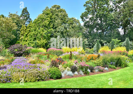 Summer View Alan Bloom formale Englische Landhaus Blumengarten im Rasen mit Pflanzen Bäume & Koniferen Bressingham Diss Norfolk East Anglia England Grossbritannien Stockfoto