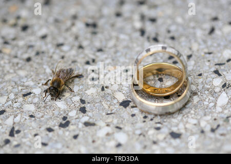 Goldene Hochzeit Ringe auf einem Stein Oberfläche. Stockfoto