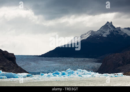 Grey Gletscher mit Bergen im Hintergrund Stockfoto