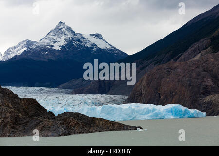 Grey Gletscher mit Bergen im Hintergrund Stockfoto