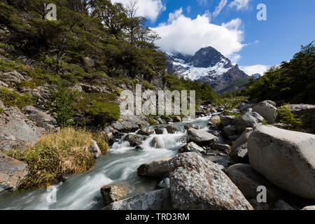 Fluss, der durch das Valle Frances in Torres del Paine, Patagonien, Chile Stockfoto