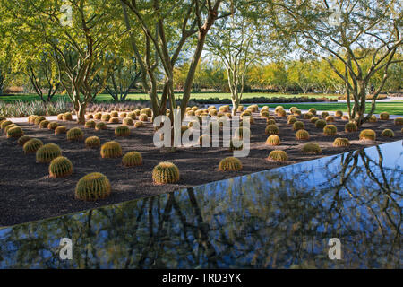 Wunderschöne Anlage an Sunnylands Center & Gärten ist ein Werk der modernen Gartenkunst in der Nähe von Palm Springs, Kalifornien. Stockfoto