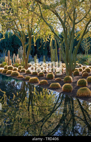 Wunderschöne Anlage an Sunnylands Center & Gärten ist ein Werk der modernen Gartenkunst in der Nähe von Palm Springs, Kalifornien. Stockfoto