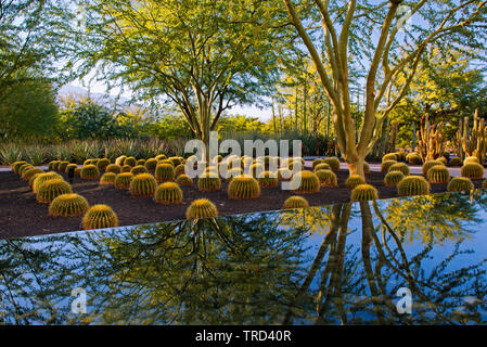 Wunderschöne Anlage an Sunnylands Center & Gärten ist ein Werk der modernen Gartenkunst in der Nähe von Palm Springs, Kalifornien. Stockfoto