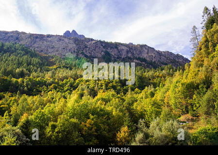 Herbst Farben in den Französischen Alpen, Chamonix, Französische Alpen, Savoyen, Frankreich Stockfoto