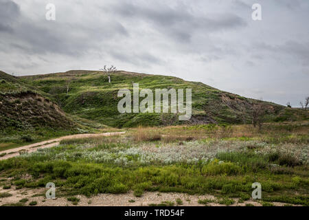 Clark County, KS Stockfoto