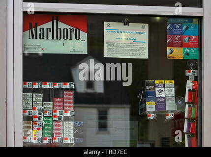 Cromwell, CT/USA - Mai 4, 2019: an einer Tankstelle, Zigaretten anzeigen für Kauf und entsprechender Warnungen Fenster Stockfoto